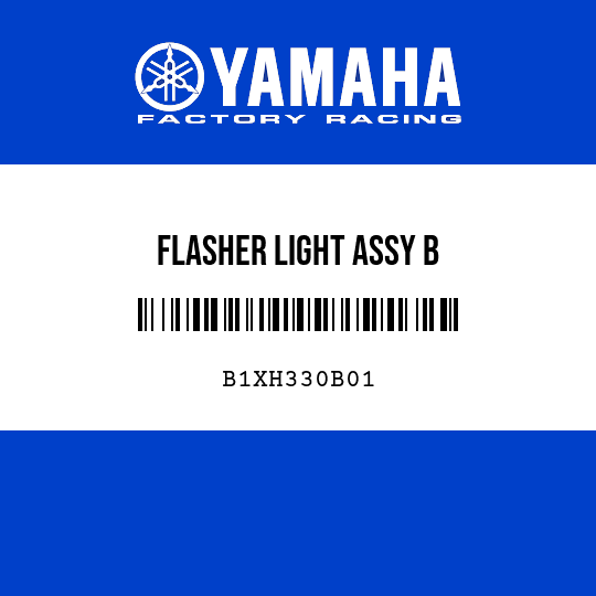 FLASHER LIGHT ASSY B