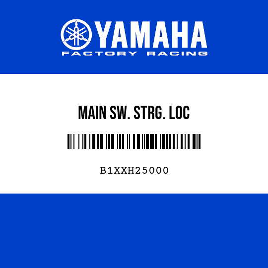 MAIN SW. STRG. LOC