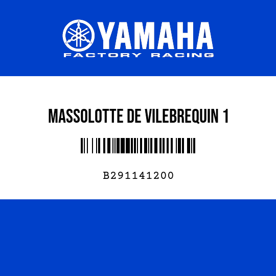 MASSOLOTTE DE VILEBREQUIN 1