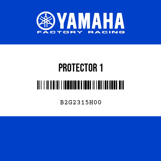 PROTECTOR 1