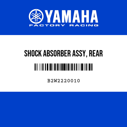SHOCK ABSORBER ASSY, REAR