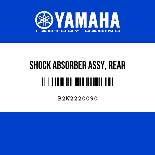 SHOCK ABSORBER ASSY, REAR