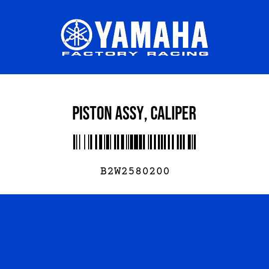 PISTON ASSY, CALIPER