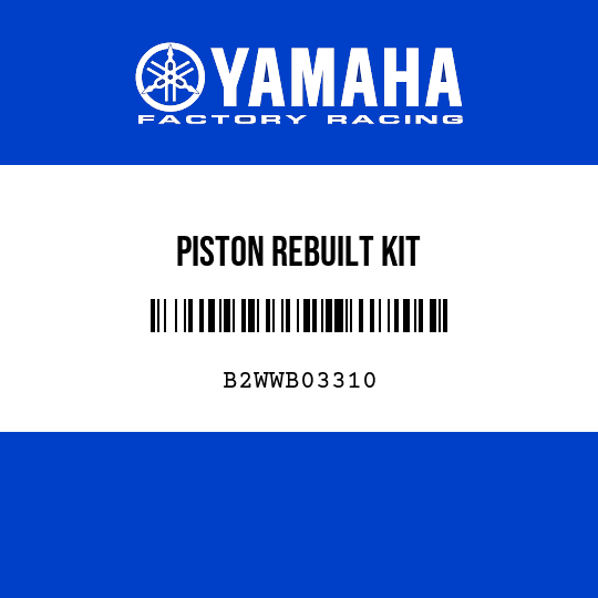 PISTON REBUILT KIT