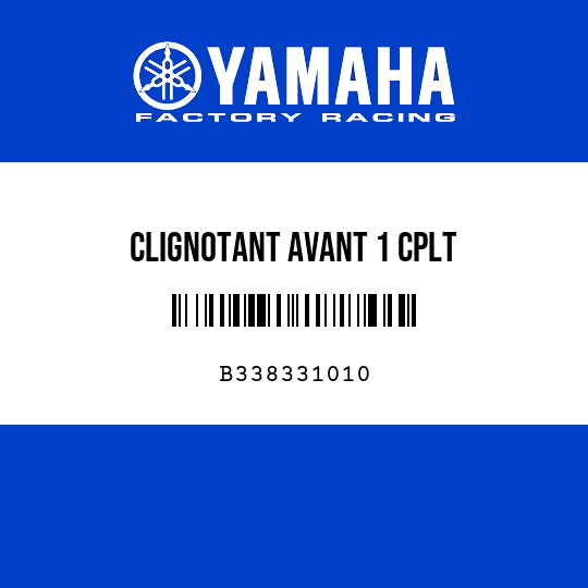 CLIGNOTANT AVANT 1 CPLT