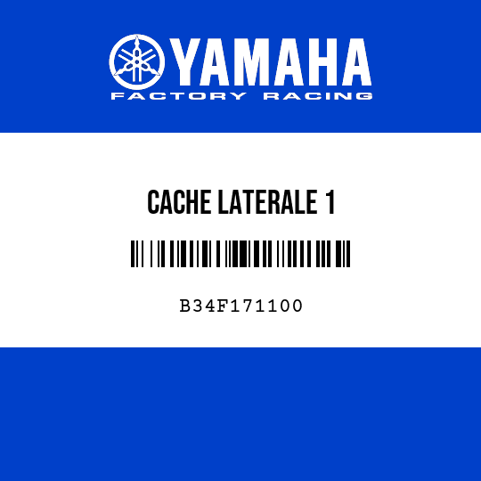 CACHE LATERALE 1