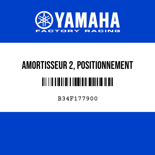 AMORTISSEUR 2, POSITIONNEMENT