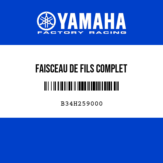FAISCEAU DE FILS COMPLET