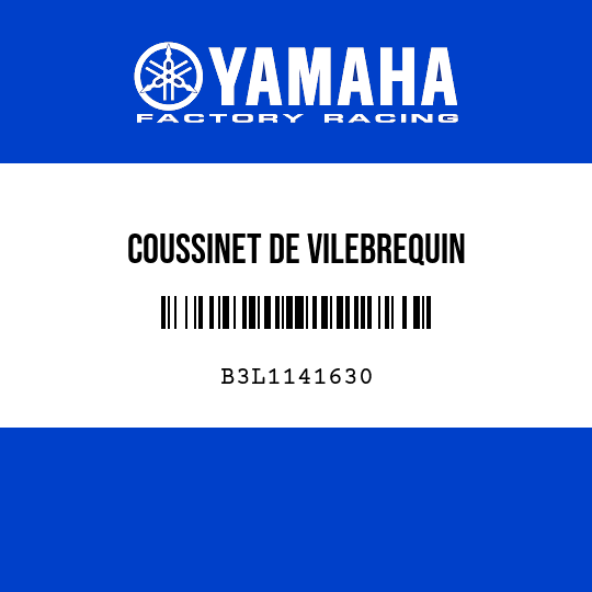 COUSSINET DE VILEBREQUIN