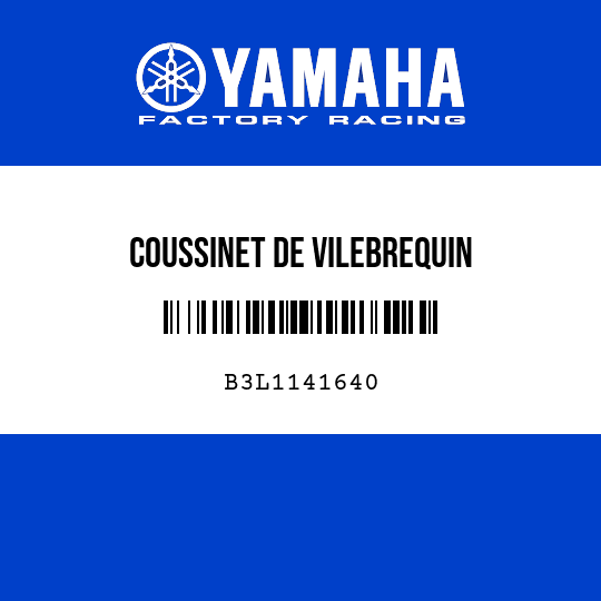 COUSSINET DE VILEBREQUIN