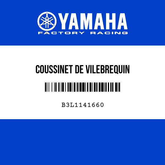 COUSSINET DE VILEBREQUIN
