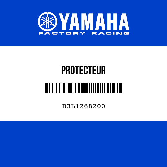 PROTECTEUR