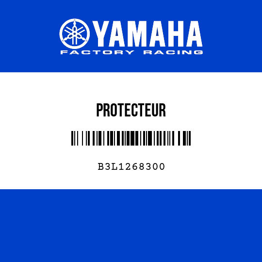 PROTECTEUR