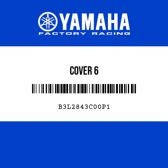 COVER 6