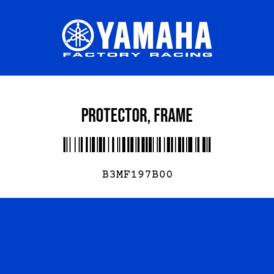 PROTECTOR, FRAME