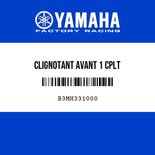 CLIGNOTANT AVANT 1 CPLT