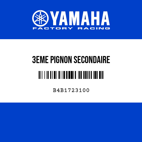 3EME PIGNON SECONDAIRE