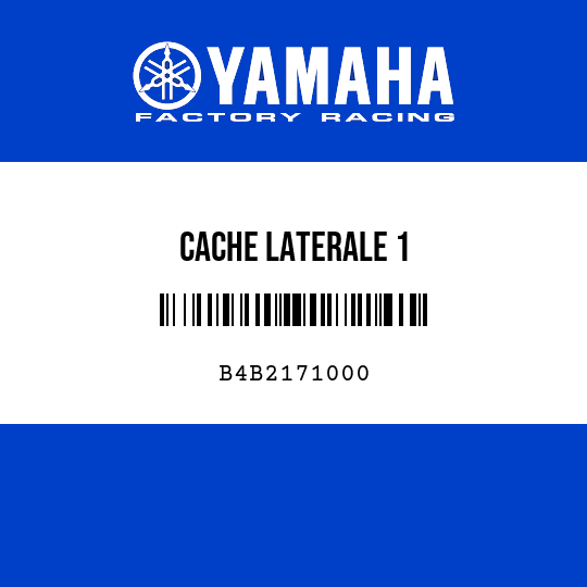 CACHE LATERALE 1