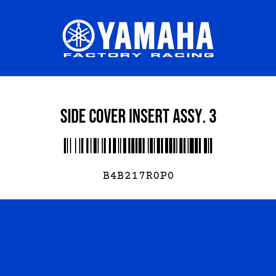 SIDE COVER INSERT ASSY. 3
