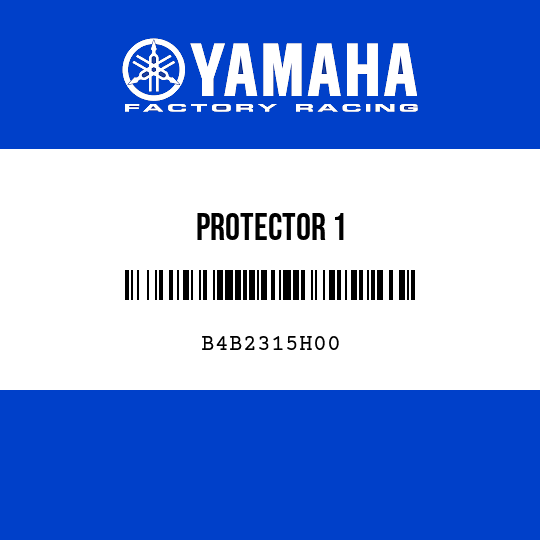 PROTECTOR 1