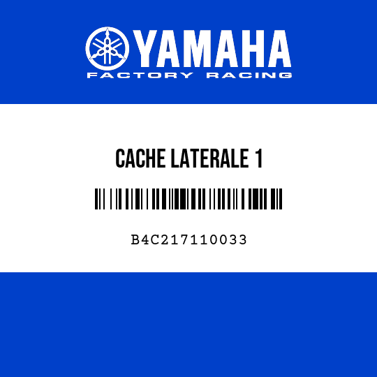 CACHE LATERALE 1