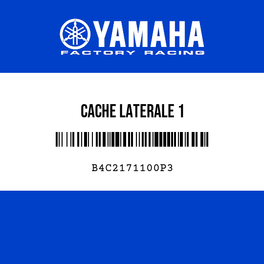 CACHE LATERALE 1