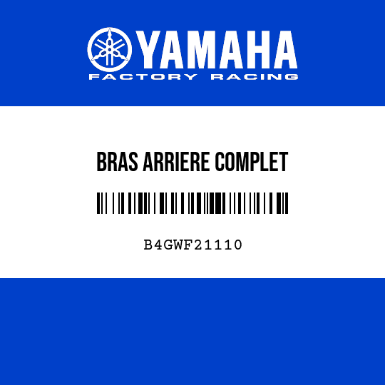 BRAS ARRIERE COMPLET
