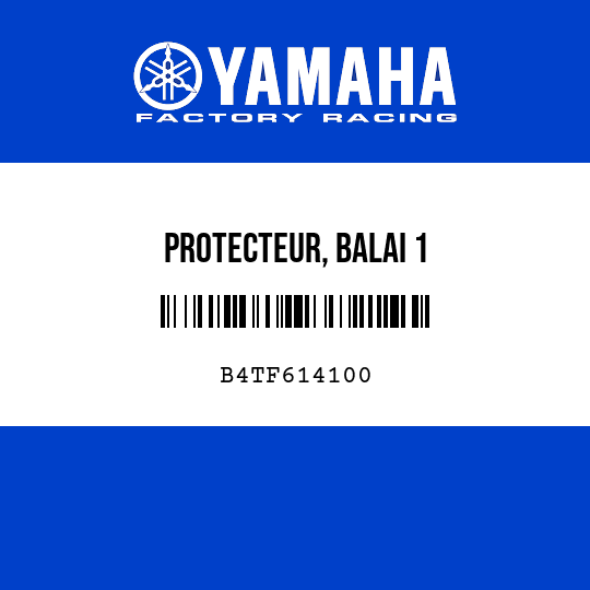 PROTECTEUR, BALAI 1