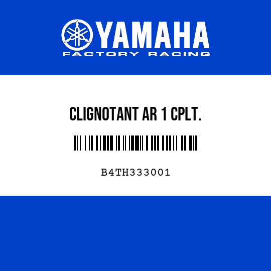 CLIGNOTANT AR 1 CPLT.
