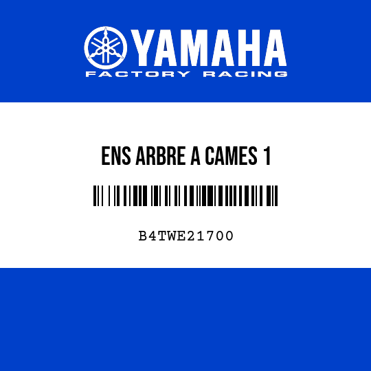 ENS ARBRE A CAMES 1