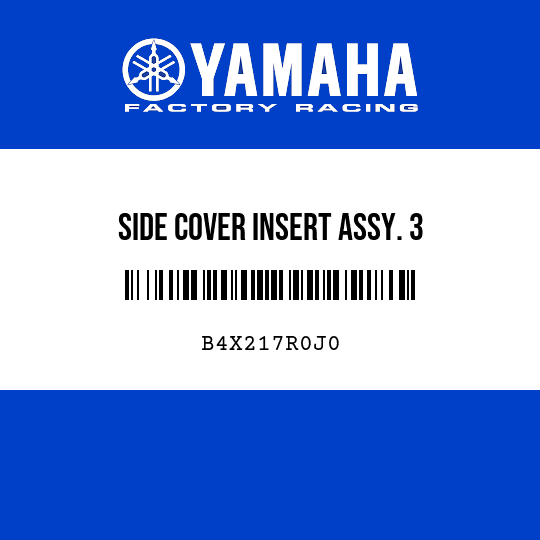 SIDE COVER INSERT ASSY. 3