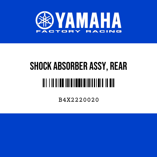 SHOCK ABSORBER ASSY, REAR