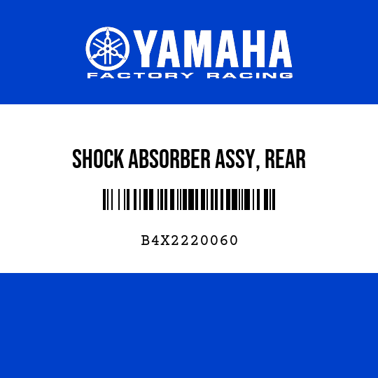 SHOCK ABSORBER ASSY, REAR