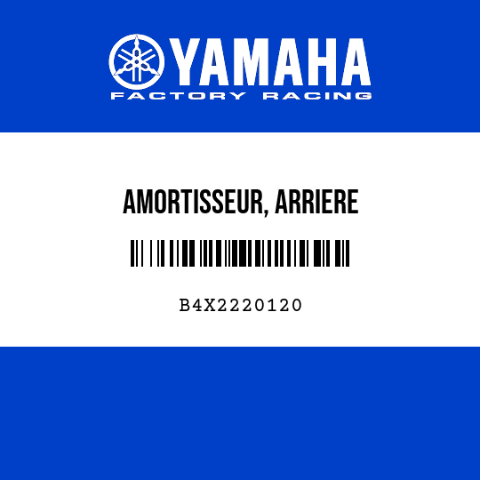 AMORTISSEUR, ARRIERE
