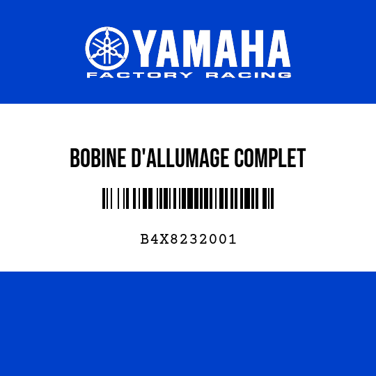 BOBINE D'ALLUMAGE COMPLET