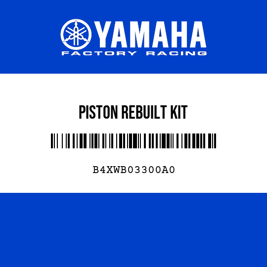 PISTON REBUILT KIT
