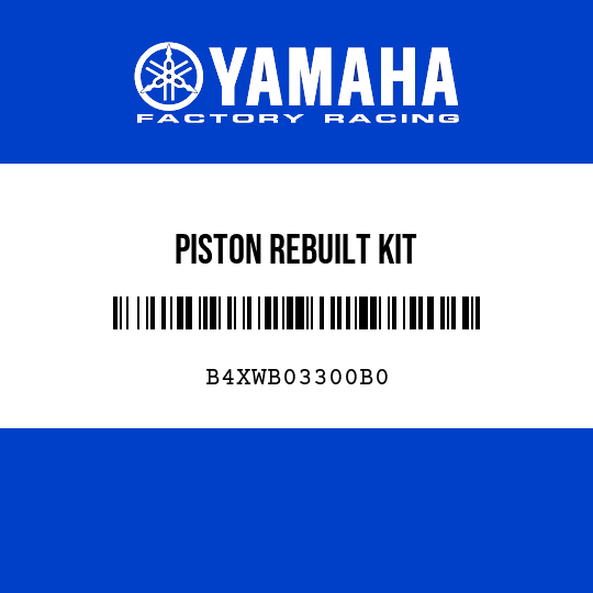 PISTON REBUILT KIT