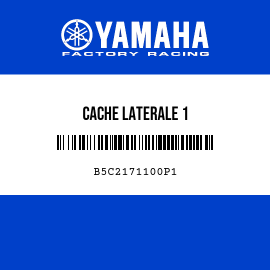 CACHE LATERALE 1