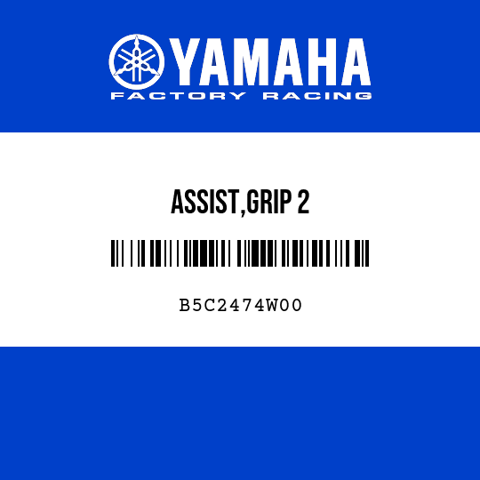 ASSIST,GRIP 2