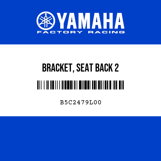 BRACKET, SEAT BACK 2