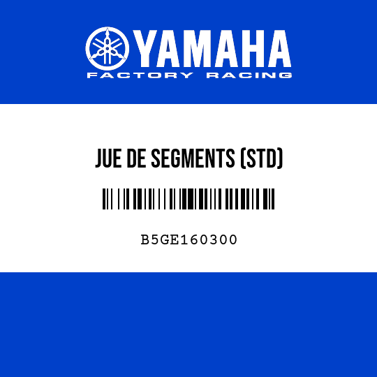 JUE DE SEGMENTS (STD)