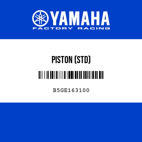 PISTON (STD)