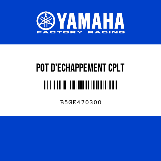 POT D'ECHAPPEMENT CPLT