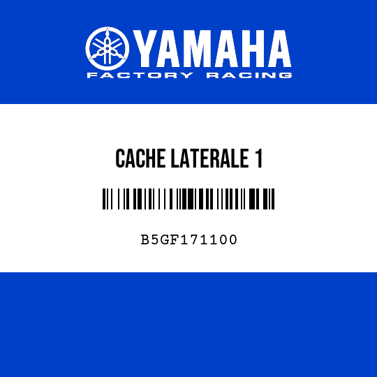 CACHE LATERALE 1