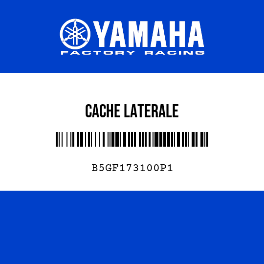 CACHE LATERALE