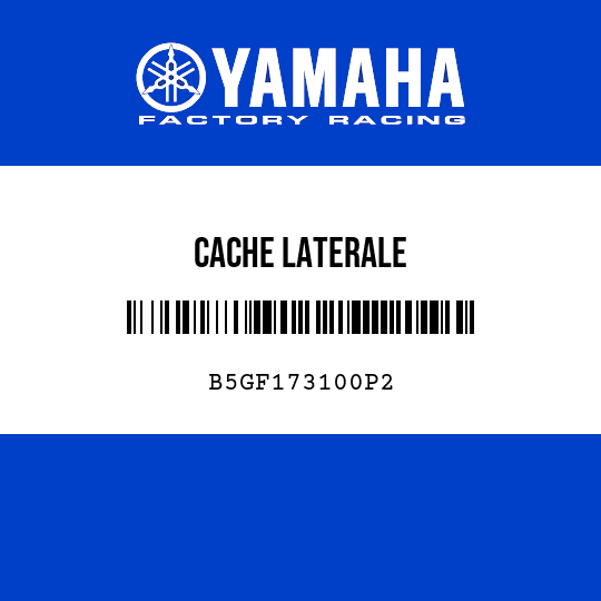CACHE LATERALE