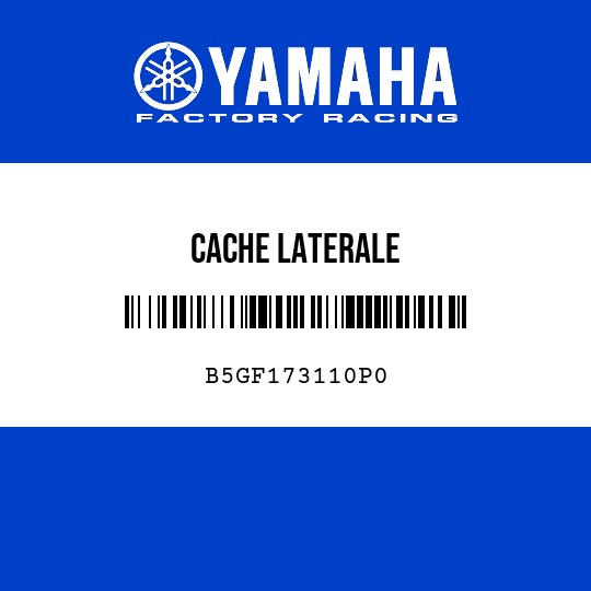 CACHE LATERALE