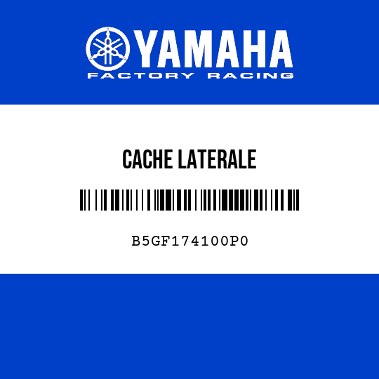CACHE LATERALE