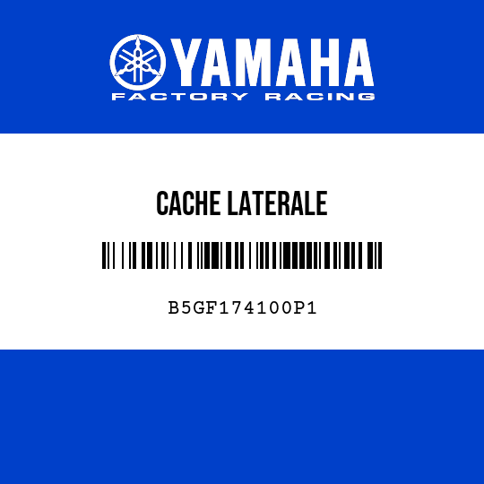 CACHE LATERALE