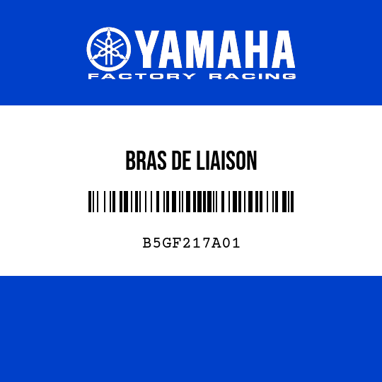 BRAS DE LIAISON